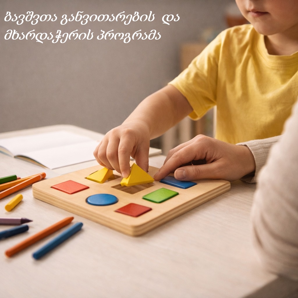 ბავშვთა განვითარების და მხარდაჭერის პროგრამა
