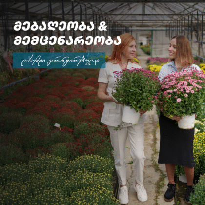 მებაღეობა - მემცენარეობა